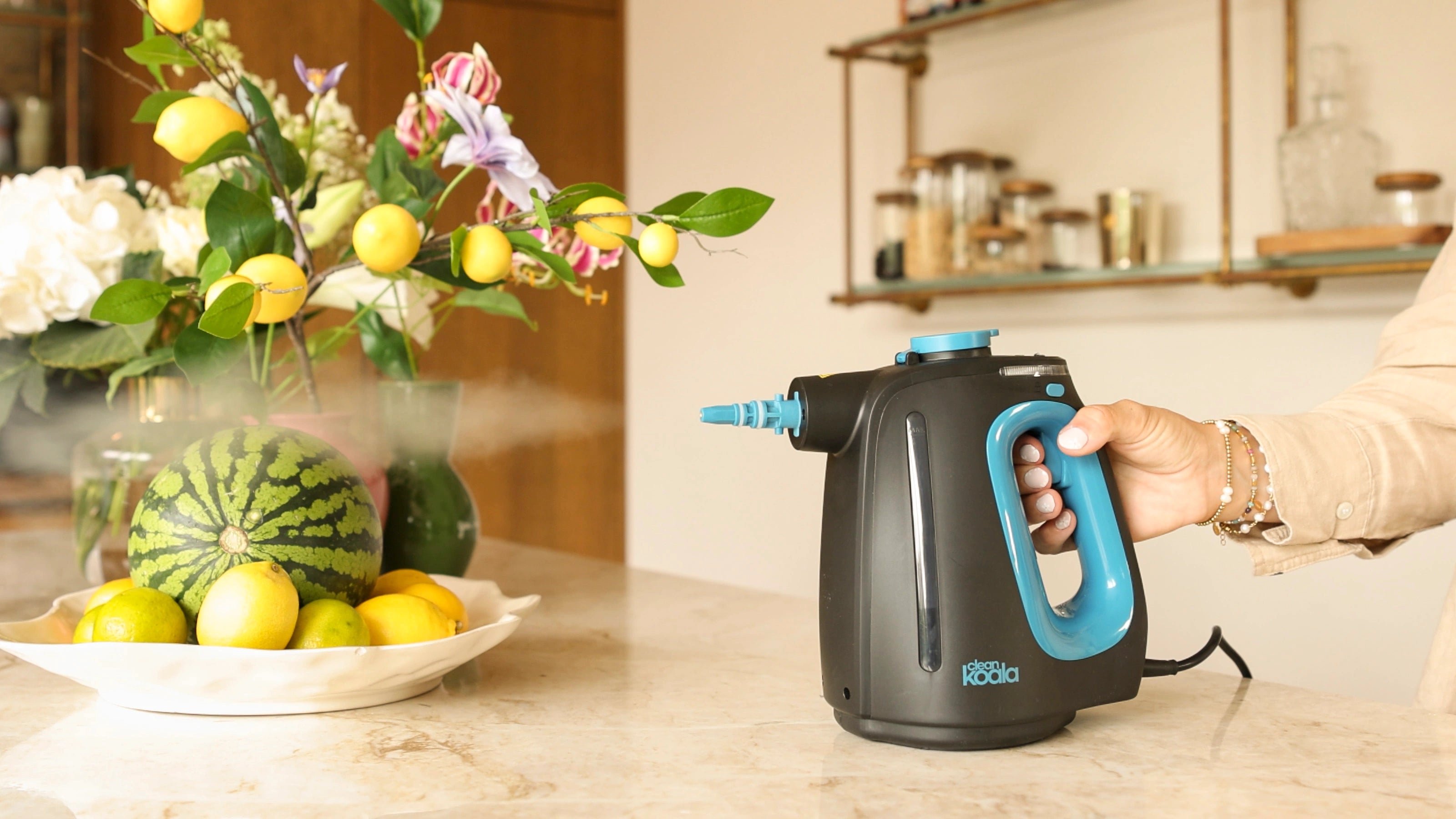 2-in-1 Steam Cleaner