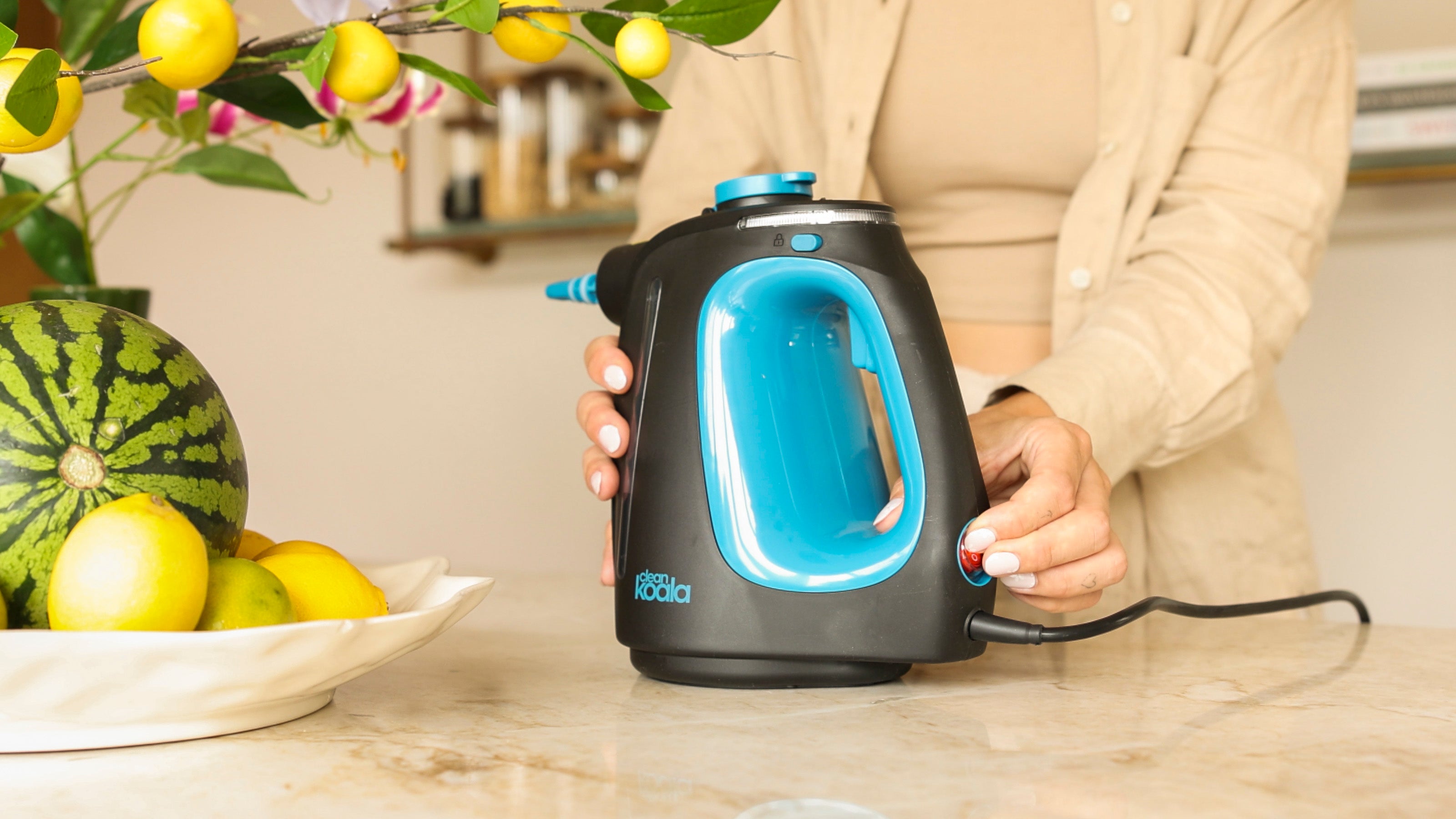 Portable Steam Cleaner