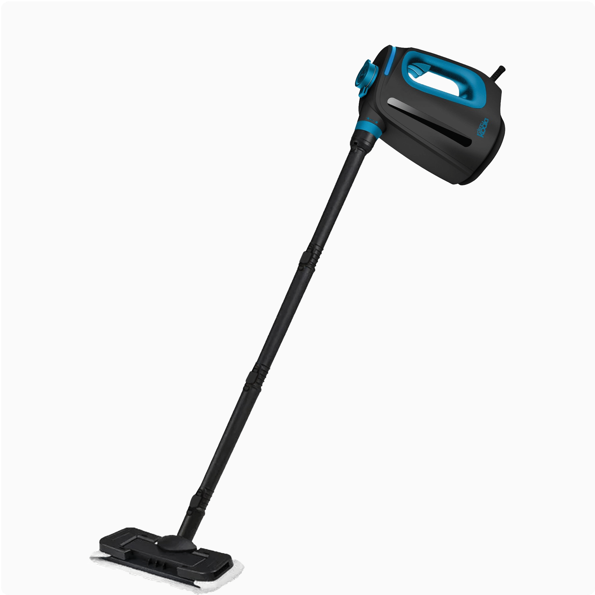 2-in-1 Steam Cleaner